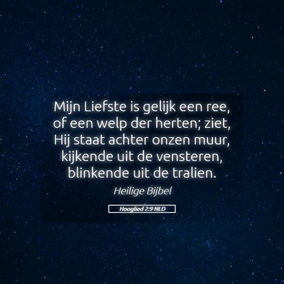 Picture 05 - Hooglied 2:9 NLD - Mijn Liefste is gelijk een ree, of een welp der - Bible Verse Picture