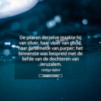 Picture 05 - Hooglied 3:10 NLD - De pilaren derzelve maakte hij van zilver, haar - Bible Verse Picture