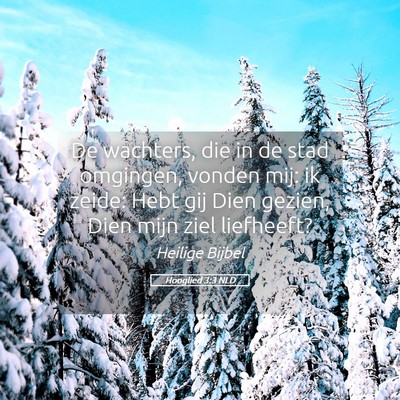 Picture 05 - Hooglied 3:3 NLD - De wachters, die in de stad omgingen, vonden mij: - Bible Verse Picture