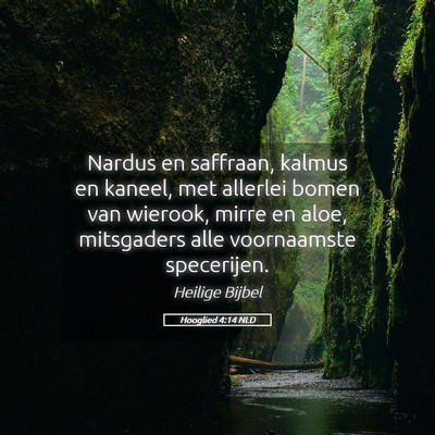 Picture 05 - Hooglied 4:14 NLD - Nardus en saffraan, kalmus en kaneel, met - Bible Verse Picture