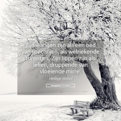 Picture 05 - Hooglied 5:13 NLD - Zijn wangen zijn als een bed van specerijen, als - Bible Verse Picture