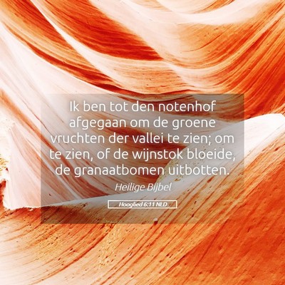 Picture 05 - Hooglied 6:11 NLD - Ik ben tot den notenhof afgegaan om de groene - Bible Verse Picture