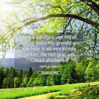 Picture 05 - Hooglied 6:5 NLD - Wend uw ogen van Mij af, want zij doen Mij geweld - Bible Verse Picture
