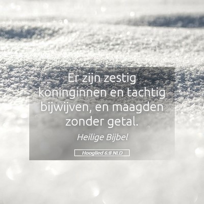 Picture 05 - Hooglied 6:8 NLD - Er zijn zestig koninginnen en tachtig bijwijven, - Bible Verse Picture