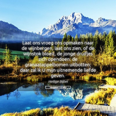 Picture 05 - Hooglied 7:12 NLD - Laat ons vroeg ons opmaken naar de wijnbergen, - Bible Verse Picture