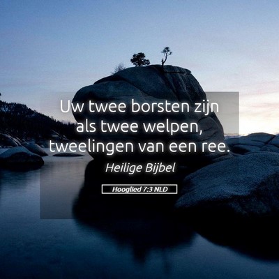 Picture 05 - Hooglied 7:3 NLD - Uw twee borsten zijn als twee welpen, tweelingen - Bible Verse Picture