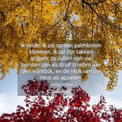 Picture 05 - Hooglied 7:8 NLD - Ik zeide: Ik zal op den palmboom klimmen, ik zal - Bible Verse Picture