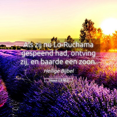 Picture 05 - Hosea 1:8 NLD - Als zij nu Lo-Ruchama gespeend had, ontving zij, - Bible Verse Picture