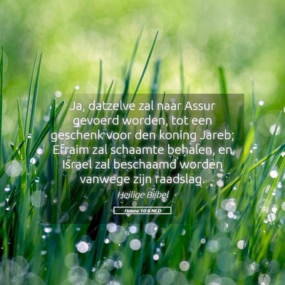 Picture 05 - Hosea 10:6 NLD - Ja, datzelve zal naar Assur gevoerd worden, tot - Bible Verse Picture