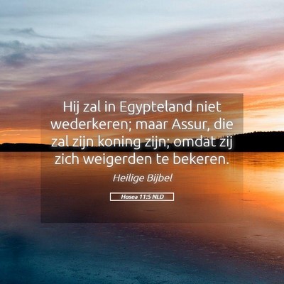 Picture 05 - Hosea 11:5 NLD - Hij zal in Egypteland niet wederkeren; maar - Bible Verse Picture