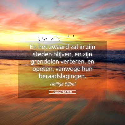 Picture 05 - Hosea 11:6 NLD - En het zwaard zal in zijn steden blijven, en zijn - Bible Verse Picture