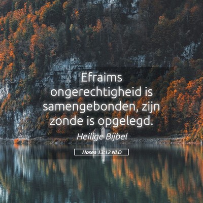 Picture 05 - Hosea 13:12 NLD - Efraims ongerechtigheid is samengebonden, zijn - Bible Verse Picture