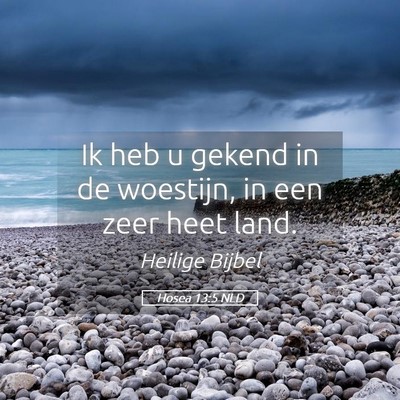 Picture 05 - Hosea 13:5 NLD - Ik heb u gekend in de woestijn, in een zeer heet - Bible Verse Picture