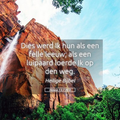 Picture 05 - Hosea 13:7 NLD - Dies werd Ik hun als een felle leeuw; als een - Bible Verse Picture