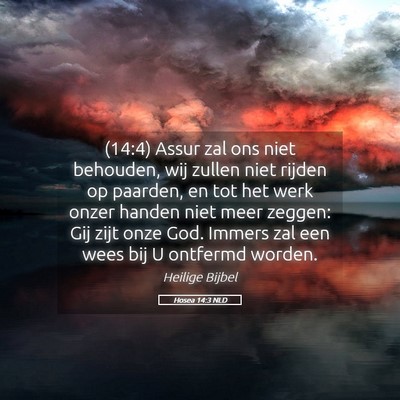 Picture 05 - Hosea 14:3 NLD - (14:4) Assur zal ons niet behouden, wij zullen - Bible Verse Picture
