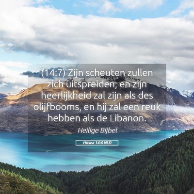 Picture 05 - Hosea 14:6 NLD - (14:7) Zijn scheuten zullen zich uitspreiden, en - Bible Verse Picture
