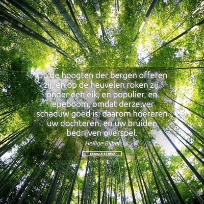 Picture 05 - Hosea 4:13 NLD - Op de hoogten der bergen offeren zij, en op de - Bible Verse Picture