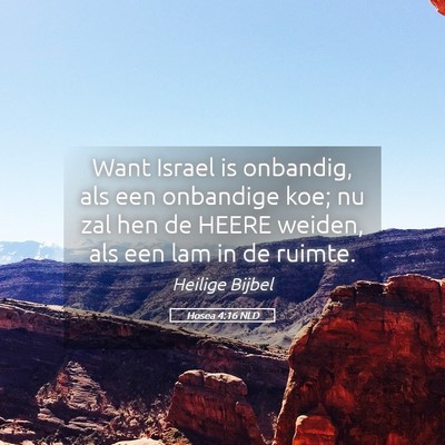 Picture 05 - Hosea 4:16 NLD - Want Israel is onbandig, als een onbandige koe; - Bible Verse Picture