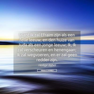 Picture 05 - Hosea 5:14 NLD - Want Ik zal Efraim zijn als een felle leeuw, en - Bible Verse Picture
