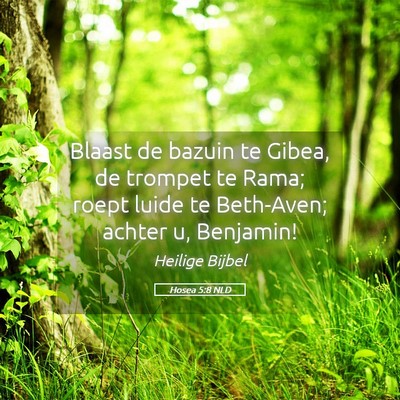 Picture 05 - Hosea 5:8 NLD - Blaast de bazuin te Gibea, de trompet te Rama; - Bible Verse Picture