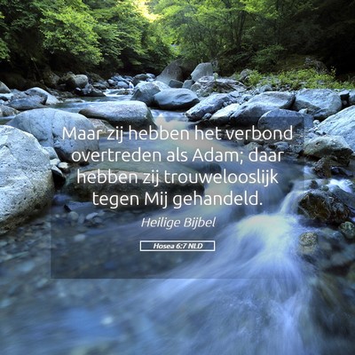 Picture 05 - Hosea 6:7 NLD - Maar zij hebben het verbond overtreden als Adam; - Bible Verse Picture