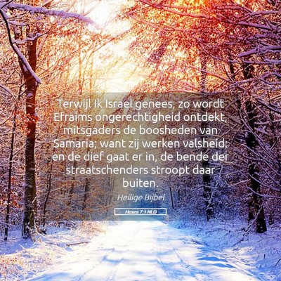 Picture 05 - Hosea 7:1 NLD - Terwijl Ik Israel genees, zo wordt Efraims - Bible Verse Picture