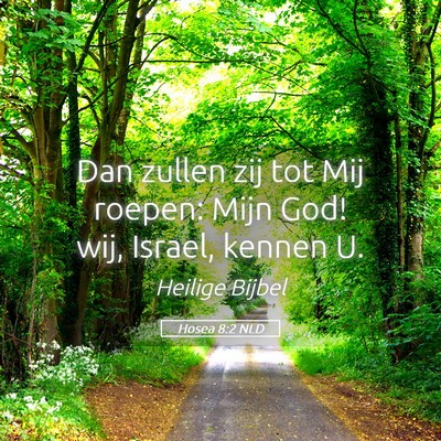 Picture 05 - Hosea 8:2 NLD - Dan zullen zij tot Mij roepen: Mijn God! wij, - Bible Verse Picture