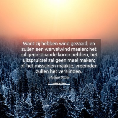 Picture 05 - Hosea 8:7 NLD - Want zij hebben wind gezaaid, en zullen een - Bible Verse Picture