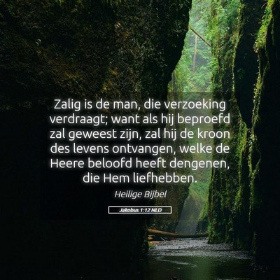 Picture 05 - Jakobus 1:12 NLD - Zalig is de man, die verzoeking verdraagt; want - Bible Verse Picture