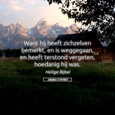 Picture 05 - Jakobus 1:24 NLD - Want hij heeft zichzelven bemerkt, en is - Bible Verse Picture