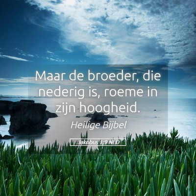 Picture 05 - Jakobus 1:9 NLD - Maar de broeder, die nederig is, roeme in zijn - Bible Verse Picture
