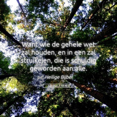 Picture 05 - Jakobus 2:10 NLD - Want wie de gehele wet zal houden, en in een zal - Bible Verse Picture