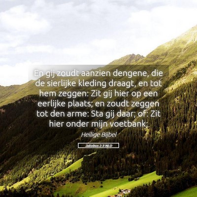 Picture 05 - Jakobus 2:3 NLD - En gij zoudt aanzien dengene, die de sierlijke - Bible Verse Picture