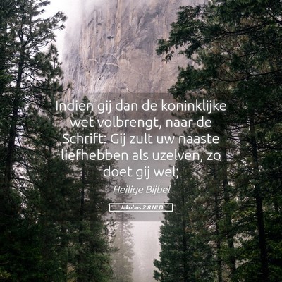 Picture 05 - Jakobus 2:8 NLD - Indien gij dan de koninklijke wet volbrengt, naar - Bible Verse Picture