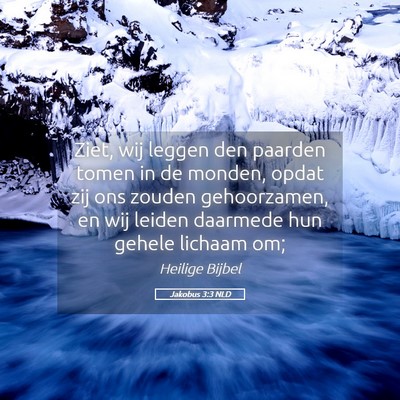 Picture 05 - Jakobus 3:3 NLD - Ziet, wij leggen den paarden tomen in de monden, - Bible Verse Picture