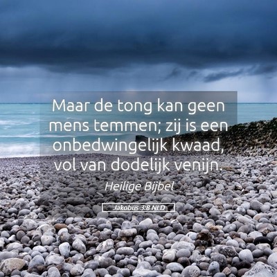Picture 05 - Jakobus 3:8 NLD - Maar de tong kan geen mens temmen; zij is een - Bible Verse Picture