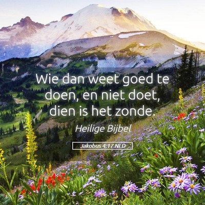 Picture 05 - Jakobus 4:17 NLD - Wie dan weet goed te doen, en niet doet, dien is - Bible Verse Picture