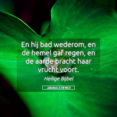 Picture 05 - Jakobus 5:18 NLD - En hij bad wederom, en de hemel gaf regen, en de - Bible Verse Picture