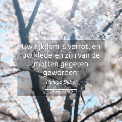 Picture 05 - Jakobus 5:2 NLD - Uw rijkdom is verrot, en uw klederen zijn van de - Bible Verse Picture