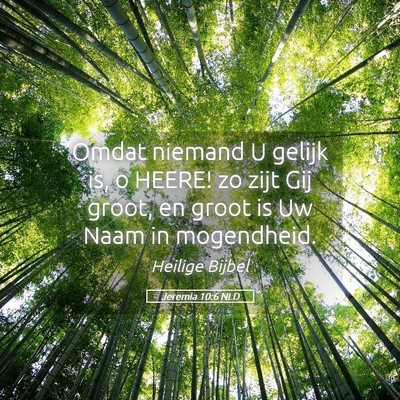 Picture 05 - Jeremia 10:6 NLD - Omdat niemand U gelijk is, o HEERE! zo zijt Gij - Bible Verse Picture