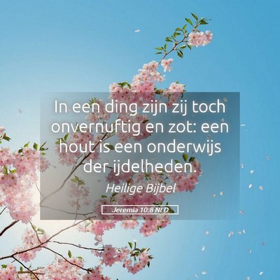 Picture 05 - Jeremia 10:8 NLD - In een ding zijn zij toch onvernuftig en zot: een - Bible Verse Picture