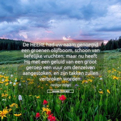 Picture 05 - Jeremia 11:16 NLD - De HEERE had uw naam genoemd een groenen - Bible Verse Picture