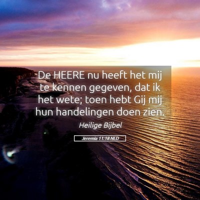 Picture 05 - Jeremia 11:18 NLD - De HEERE nu heeft het mij te kennen gegeven, dat - Bible Verse Picture