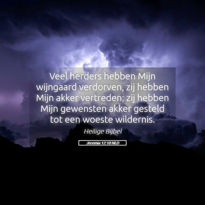 Picture 05 - Jeremia 12:10 NLD - Veel herders hebben Mijn wijngaard verdorven, zij - Bible Verse Picture