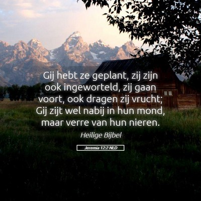 Picture 05 - Jeremia 12:2 NLD - Gij hebt ze geplant, zij zijn ook ingeworteld, - Bible Verse Picture