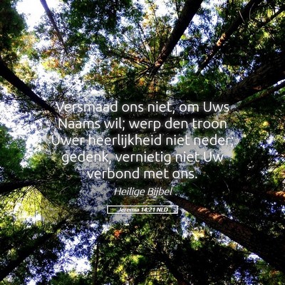 Picture 05 - Jeremia 14:21 NLD - Versmaad ons niet, om Uws Naams wil; werp den - Bible Verse Picture