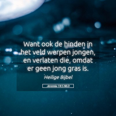 Picture 05 - Jeremia 14:5 NLD - Want ook de hinden in het veld werpen jongen, en - Bible Verse Picture