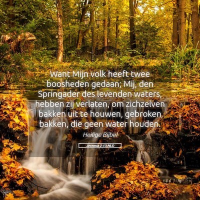 Picture 05 - Jeremia 2:13 NLD - Want Mijn volk heeft twee boosheden gedaan; Mij, - Bible Verse Picture