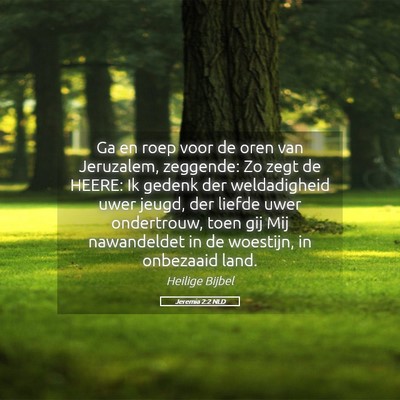 Picture 05 - Jeremia 2:2 NLD - Ga en roep voor de oren van Jeruzalem, zeggende: - Bible Verse Picture