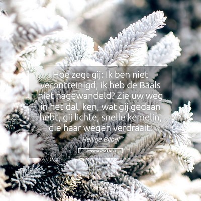 Picture 05 - Jeremia 2:23 NLD - Hoe zegt gij: Ik ben niet verontreinigd, ik heb - Bible Verse Picture